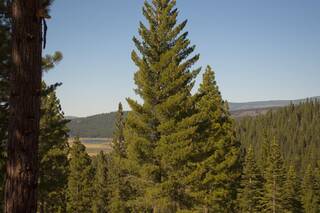Listing Image 7 for 2618 Elsinore Court, Truckee, CA 96161