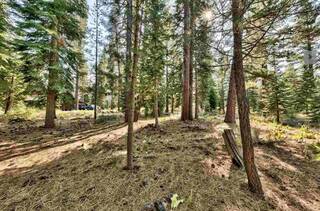 Listing Image 6 for 8485 Lahontan Drive, Truckee, CA 96161