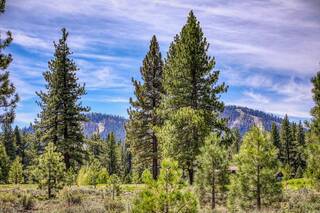 Listing Image 11 for 13185 Snowshoe Thompson Circle, Truckee, CA 96161