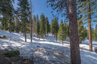 Listing Image 7 for 2640 Mill Site Road, Truckee, CA 96161