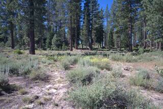 Listing Image 14 for 7105 Lahontan Drive, Truckee, CA 96161