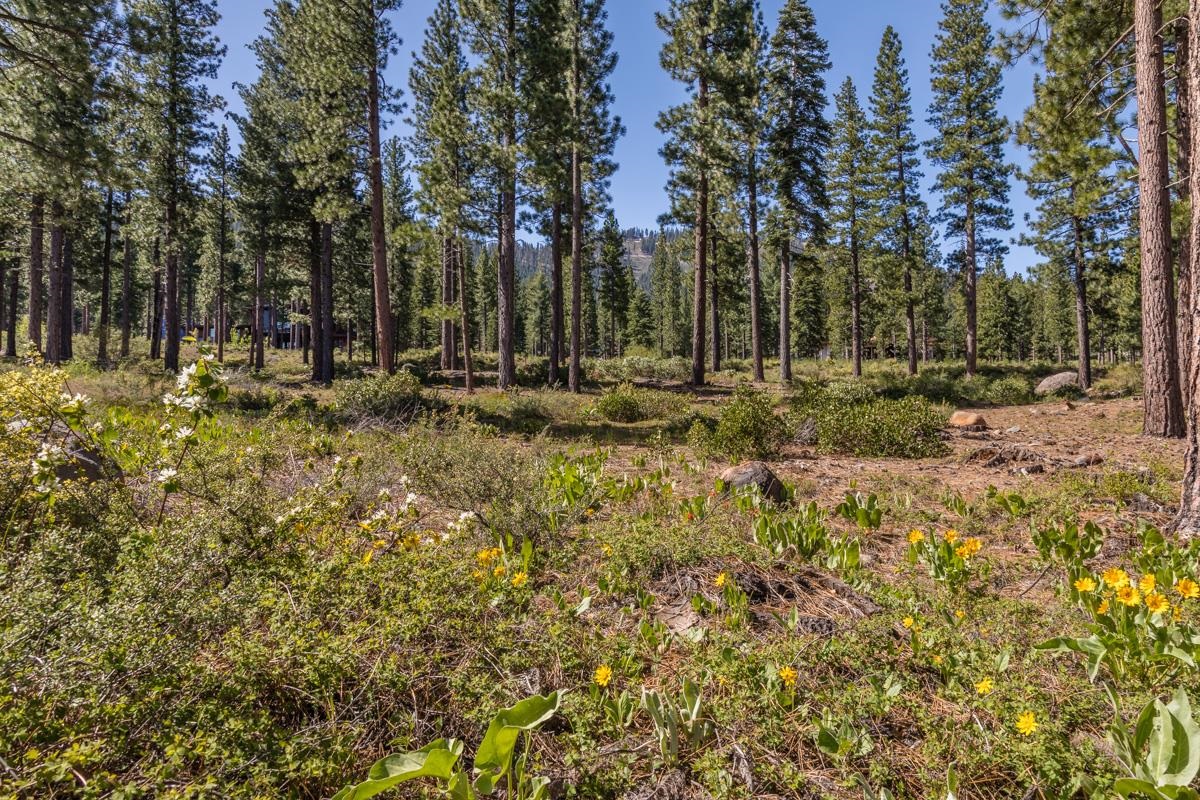 Image for 9517 Dunsmuir Way, Truckee, CA 96161