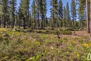 Listing Image 1 for 9517 Dunsmuir Way, Truckee, CA 96161