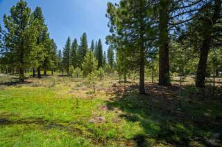Listing Image 5 for 10203 Dick Barter, Truckee, CA 96161