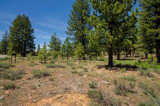 Listing Image 7 for 10203 Dick Barter, Truckee, CA 96161