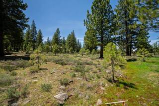 Listing Image 8 for 10203 Dick Barter, Truckee, CA 96161