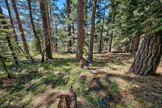 Listing Image 4 for 10547 Donner Lake Road, Truckee, CA 96161