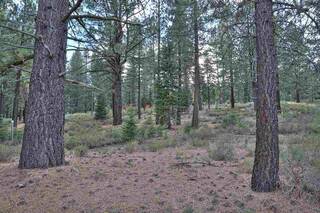 Listing Image 13 for 11101 China Camp Road, Truckee, CA 96161