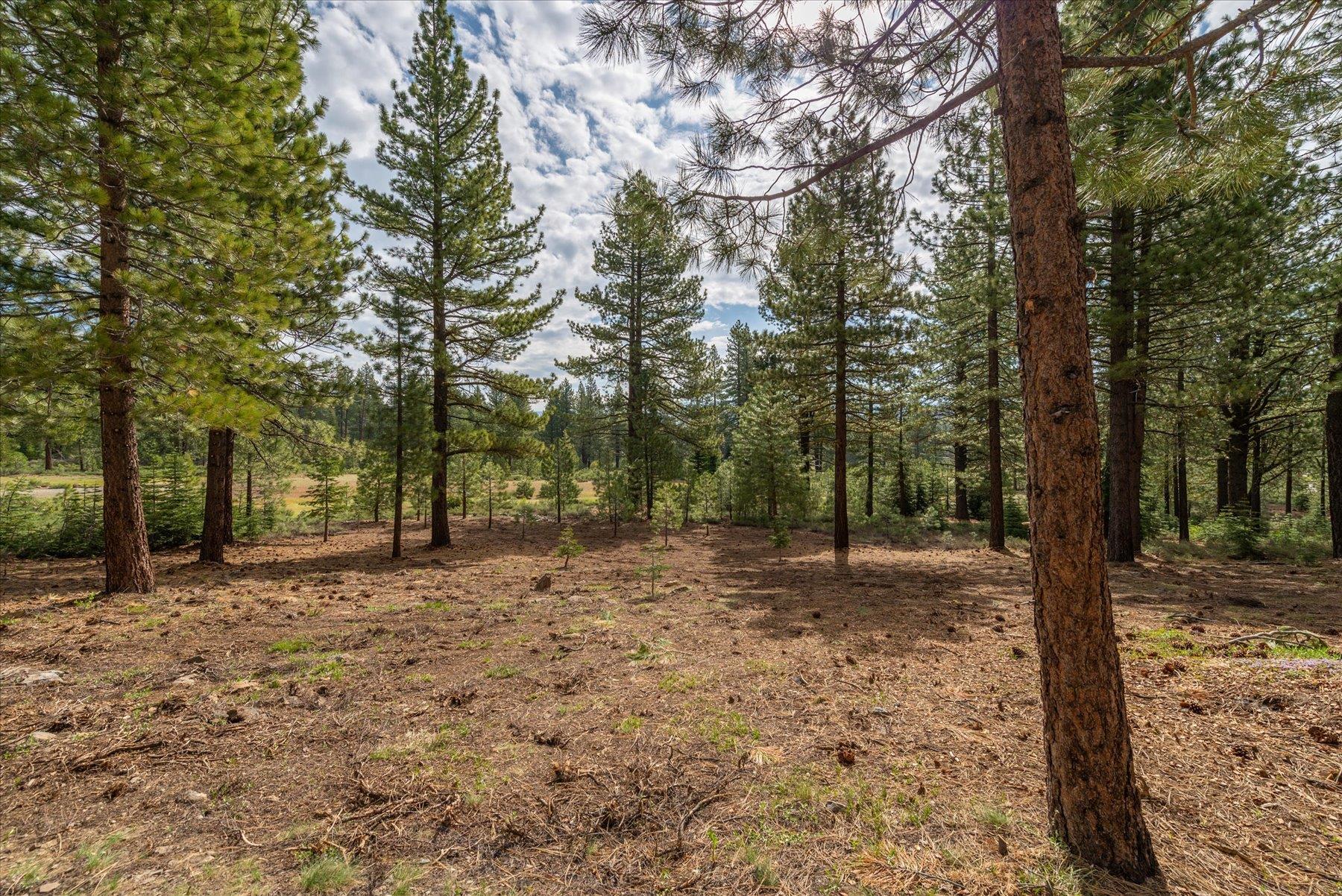 Image for 11125 China Camp Road, Truckee, CA 96161