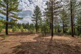 Listing Image 10 for 11125 China Camp Road, Truckee, CA 96161
