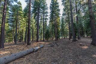 Listing Image 11 for 8595 Kilbarchan Court, Truckee, CA 96161