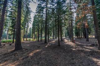 Listing Image 12 for 8595 Kilbarchan Court, Truckee, CA 96161