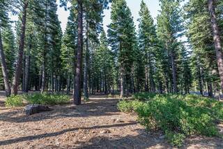 Listing Image 4 for 8595 Kilbarchan Court, Truckee, CA 96161
