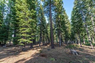 Listing Image 8 for 8595 Kilbarchan Court, Truckee, CA 96161