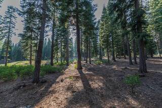 Listing Image 9 for 8595 Kilbarchan Court, Truckee, CA 96161