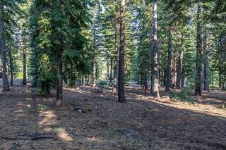 Listing Image 10 for 8595 Kilbarchan Court, Truckee, CA 96161