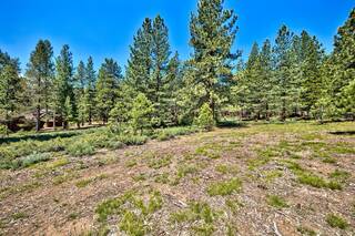 Listing Image 10 for 11670 Bottcher Loop, Truckee, CA 96161