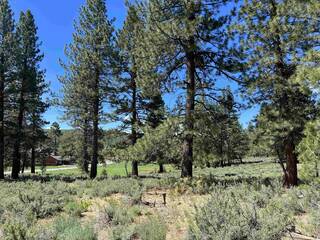 Listing Image 5 for 15865 Exeter Court, Truckee, CA 96161-1560