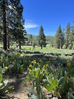 Listing Image 10 for 15865 Exeter Court, Truckee, CA 96161-1560