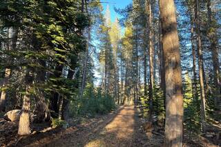 Listing Image 11 for 00 Old Donner Summit Road, Truckee, CA 96161