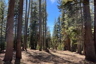 Listing Image 13 for 00 Old Donner Summit Road, Truckee, CA 96161