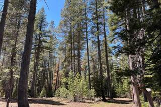 Listing Image 10 for 00 Old Donner Summit Road, Truckee, CA 96161
