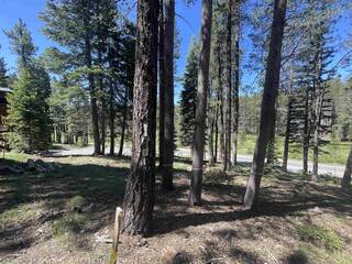 Listing Image 5 for 12173 Northwoods Boulevard, Truckee, CA 96161-6456