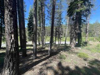 Listing Image 7 for 12173 Northwoods Boulevard, Truckee, CA 96161-6456