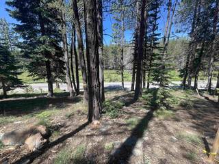 Listing Image 8 for 12173 Northwoods Boulevard, Truckee, CA 96161-6456