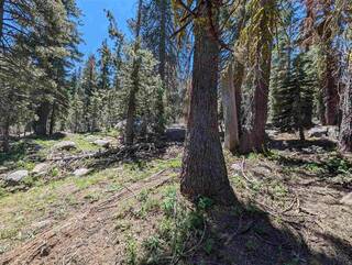 Listing Image 1 for 2 Billy Mack Flat Road, Donner Lake, CA 96161-0000