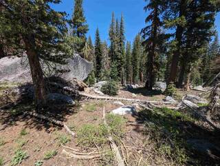 Listing Image 3 for 2 Billy Mack Flat Road, Donner Lake, CA 96161-0000