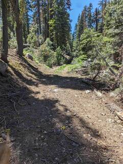 Listing Image 6 for 2 Billy Mack Flat Road, Donner Lake, CA 96161-0000