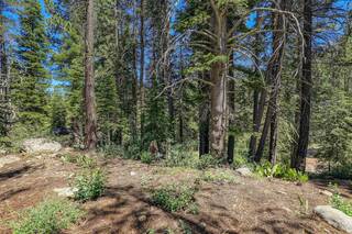 Listing Image 13 for 6630 River Road, Truckee, CA 96161