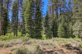 Listing Image 14 for 6630 River Road, Truckee, CA 96161