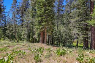 Listing Image 15 for 6630 River Road, Truckee, CA 96161