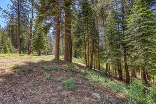 Listing Image 16 for 6630 River Road, Truckee, CA 96161