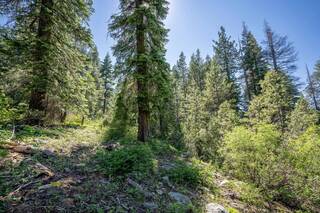 Listing Image 2 for 14865 South Shore Drive, Truckee, CA 96161