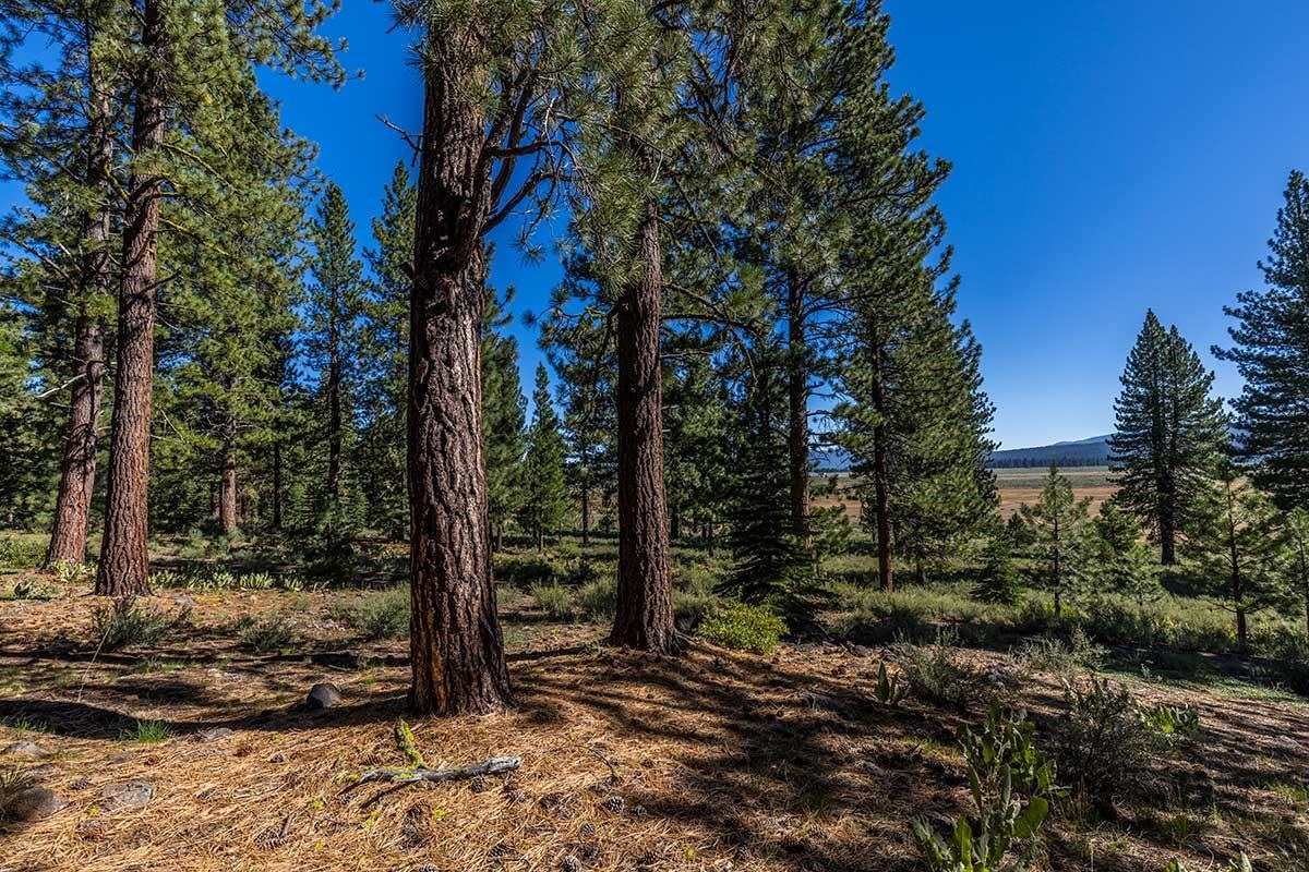 Image for 13281 Snowshoe Thompson Circle, Truckee, CA 96161