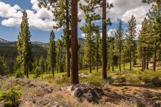 Listing Image 10 for 8101 Valhalla Drive, Truckee, CA 96161