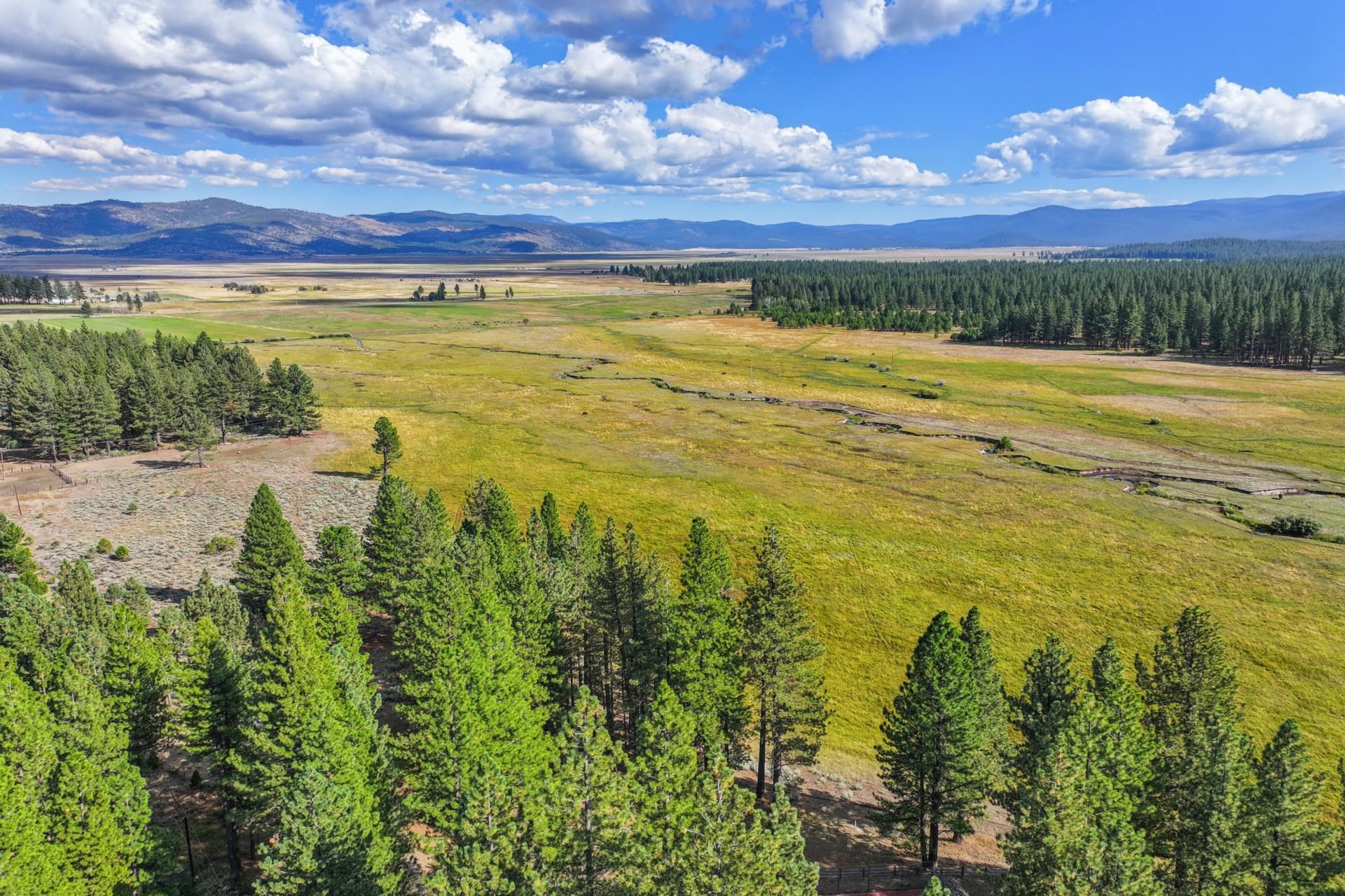 Image for 300 Meadow Ranch Road, Calpine, CA 96124