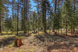 Listing Image 13 for 12672 Granite Drive, Truckee, CA 96161