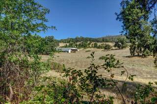 Listing Image 11 for 12450 Lime Kiln Road, Grass Valley, CA 95945