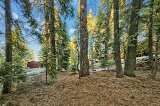 Listing Image 12 for 10782 Snowshoe Circle, Truckee, CA 96161