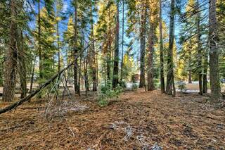 Listing Image 15 for 10782 Snowshoe Circle, Truckee, CA 96161