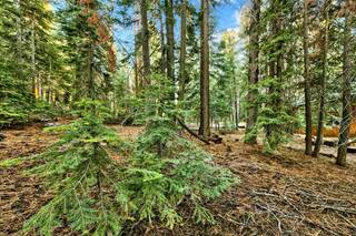Listing Image 10 for 10782 Snowshoe Circle, Truckee, CA 96161