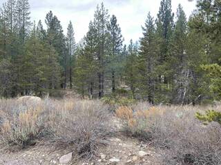 Listing Image 6 for 00000 SW River Street, Truckee, CA 96161