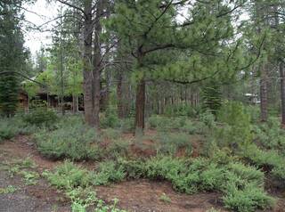 Listing Image 1 for 11841 Bottcher Loop, Truckee, CA 96161