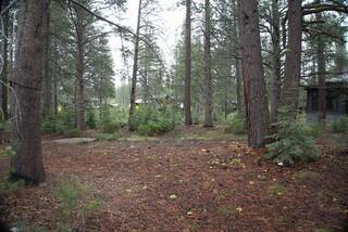 Listing Image 4 for 11841 Bottcher Loop, Truckee, CA 96161