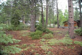 Listing Image 7 for 11841 Bottcher Loop, Truckee, CA 96161