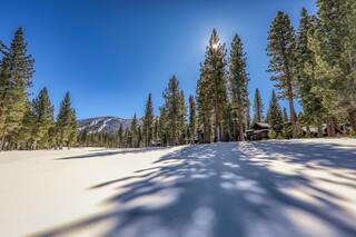 Listing Image 21 for 12237 Pete Alvertson Drive, Truckee, CA 96161